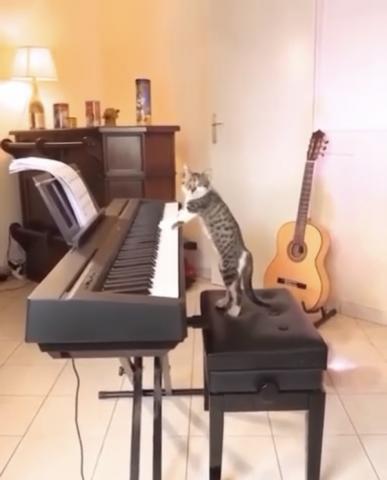 Laughter through the storm