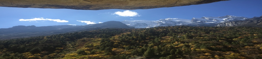 Yoga for Body Mind Soul