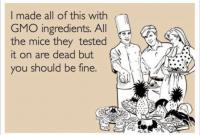 GMO